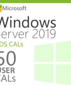 WindowsServer201950UsersCals